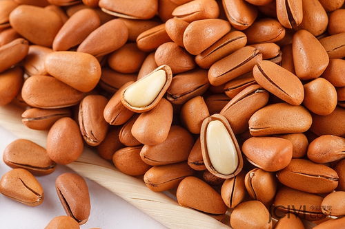 今彩視覺 專業年貨堅果攝影，點亮淘寶食品拍攝新風尚