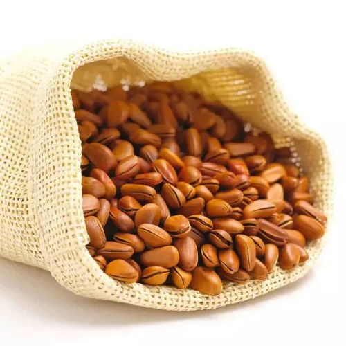 大雪時節養生，干果助您暖身又滋補