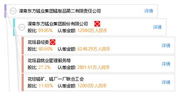 湖南東方錳業(yè)集團錳制品第二有限責(zé)任公司